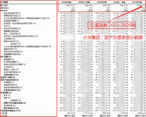 小米集团WHK1810 的财务状况如何