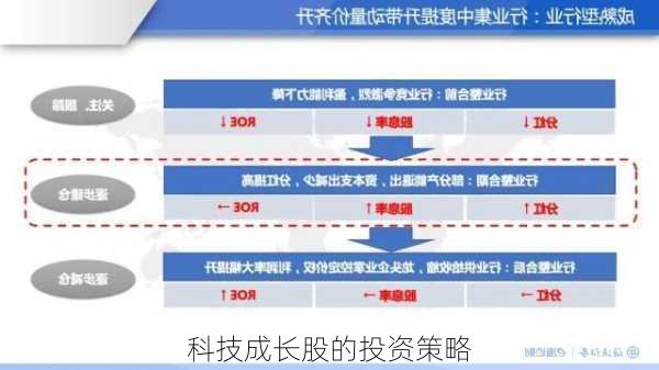 科技成长股的投资策略