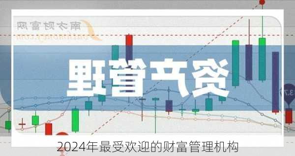 2024年最受欢迎的财富管理机构