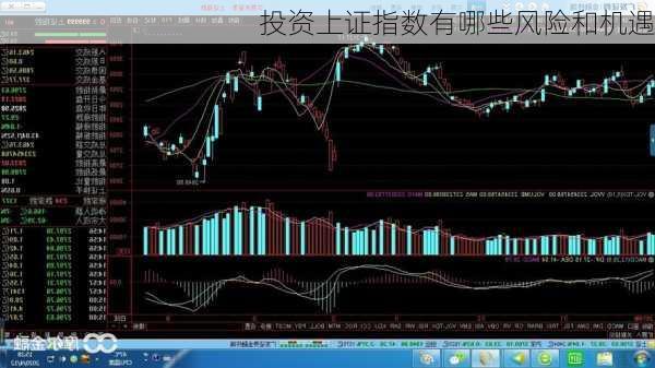 投资上证指数有哪些风险和机遇