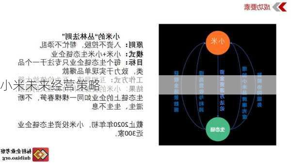 小米未来经营策略