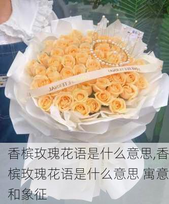 香槟玫瑰花语是什么意思,香槟玫瑰花语是什么意思 寓意和象征