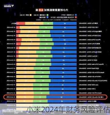 小米2024年财务风险评估