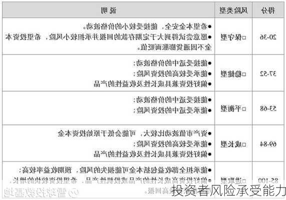 投资者风险承受能力