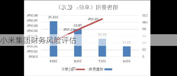 小米集团财务风险评估