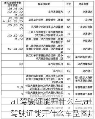 a1驾驶证能开什么车,a1驾驶证能开什么车型图片