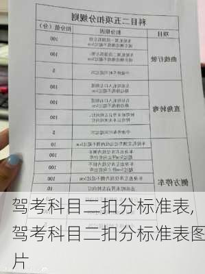 驾考科目二扣分标准表,驾考科目二扣分标准表图片