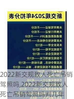 2022新交规致人死亡吊销驾照吗,2022新交规致人死亡吊销驾照吗判几年