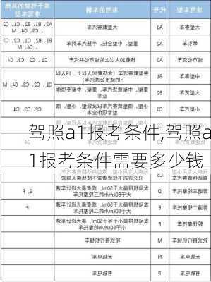 驾照a1报考条件,驾照a1报考条件需要多少钱